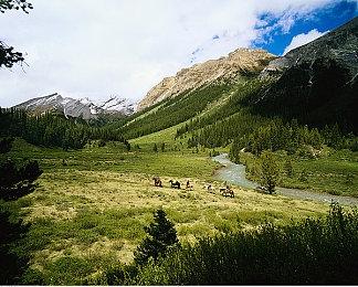 《艾尔登法环：黄金树幽影》发售3天 销量破500万套