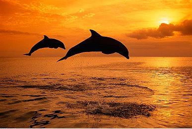 《废土》开发商蒸汽朋克RPG《发条革命》公布