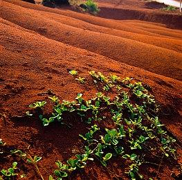 《胶佬模拟器》联动《巫师》《赛博朋克2077》DLC发售 定价22元